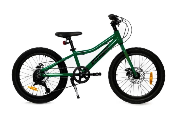 Детский велосипед Pifagor Axiom 20" - #5