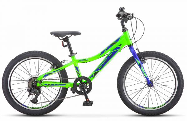 Pilot 250 Gent 20" V020 - #2