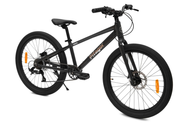 Подростковый велосипед Pifagor Q.E.D. 24 - #2