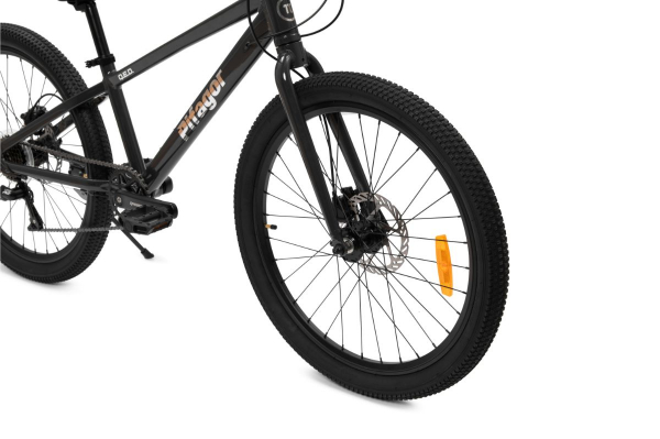 Подростковый велосипед Pifagor Q.E.D. 24 - #3